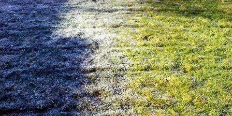 Pielęgnacja trawnika po zimie