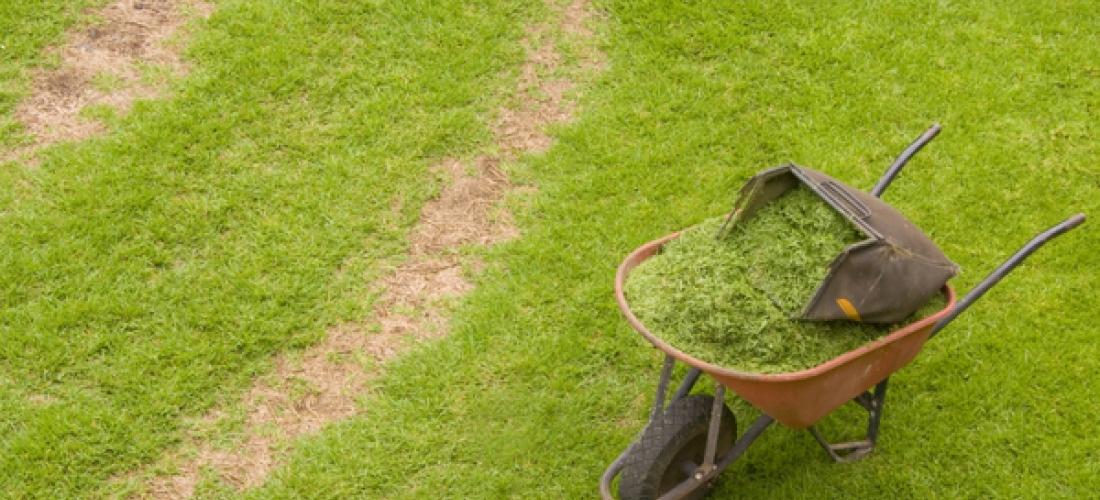 Zakładanie i późniejsza pielęgnacja trawnika wymaga używania różnorodnych narzędzi