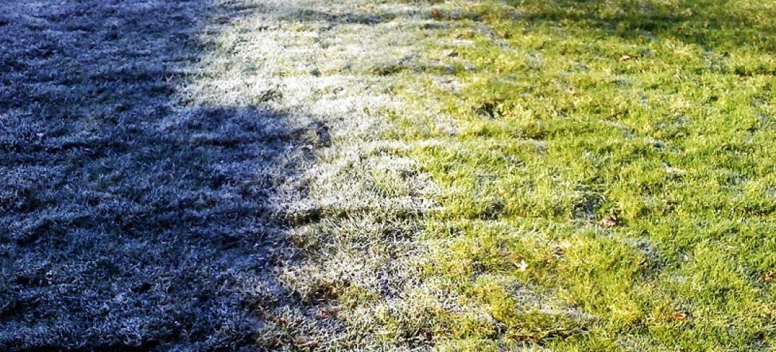 Pielęgnacja trawnika po zimie