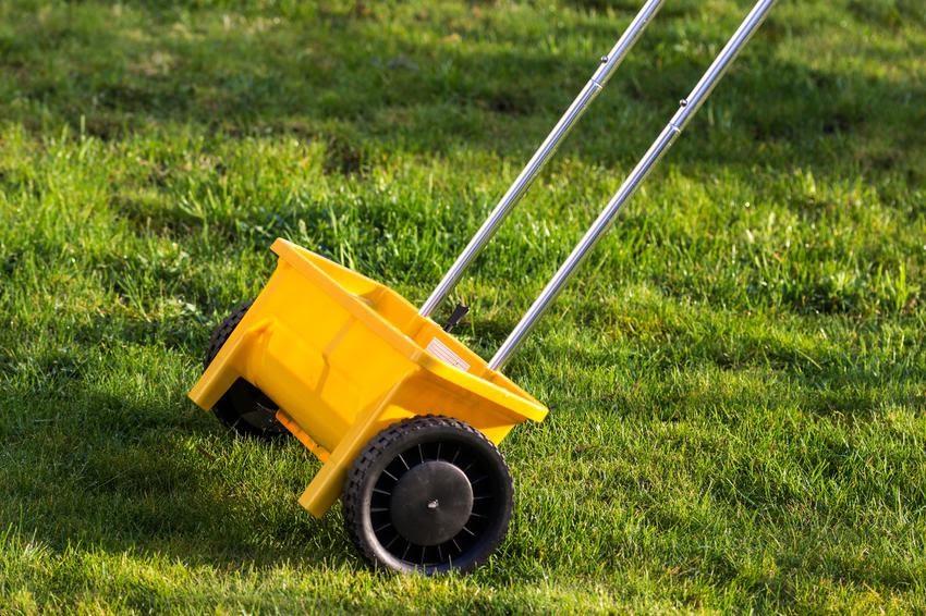 Urządzenie do rozsiewania nawozu na trawie, a także wapnowanie trawnika i odkwaszanie trawnika