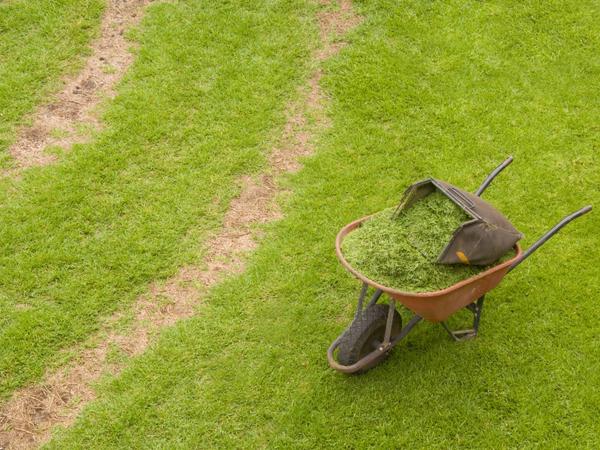 Zakładanie i późniejsza pielęgnacja trawnika wymaga używania różnorodnych narzędzi