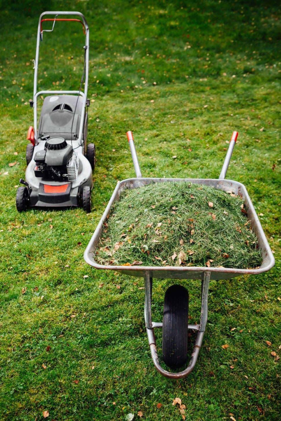 Renowacja trawnika - krok 1  / Skoś trawę, by skrócić i wzmocnić źdźbła