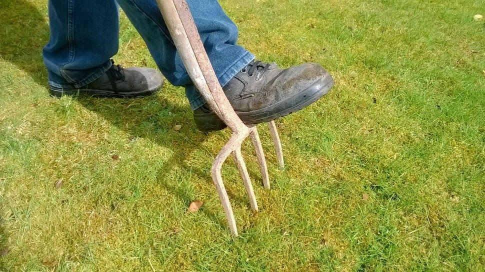 Renowacja trawnika - krok2  / Nakłuj ziemię na głębokość 10-15 cm w odstępach co 15 cm