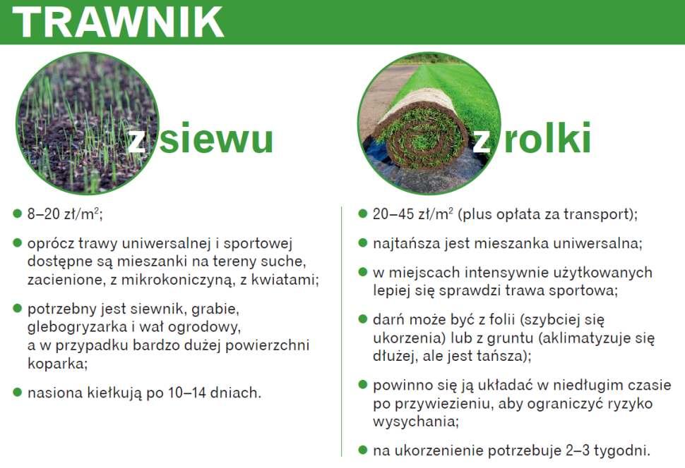 Infografika: Trawnik z siewu kontra trawnik z rolki